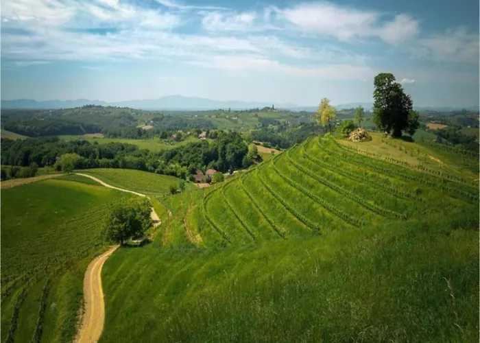 Rustic Cottage With Pool *